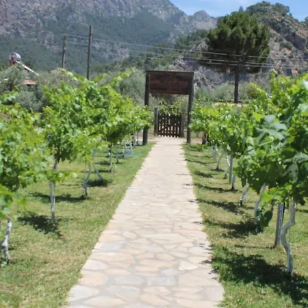 Oda ve Kahvaltı Sakin Vadi Winehouse