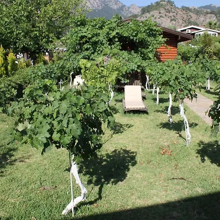 Sakin Vadi Winehouse * Orhaniye (Marmaris)