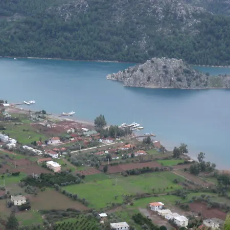 Sakin Vadi Winehouse