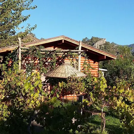 Oda ve Kahvaltı Sakin Vadi Winehouse