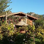 Nocleg ze śniadaniem Sakin Vadi Winehouse