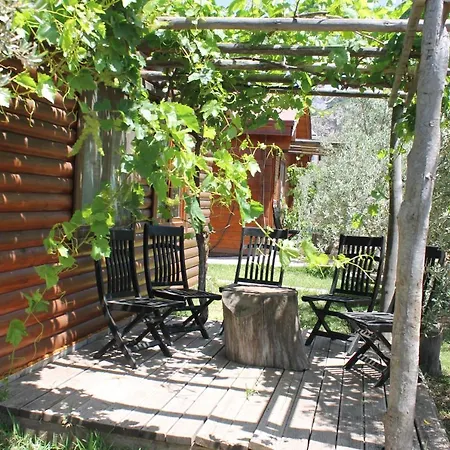 Sakin Vadi Winehouse Orhaniye