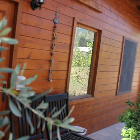 Sakin Vadi Winehouse 4* Orhaniye (Marmaris)
