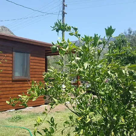 Nocleg ze śniadaniem Sakin Vadi Winehouse 4*