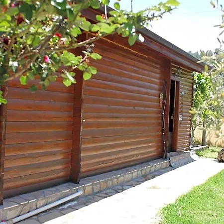 Sakin Vadi Winehouse 4*