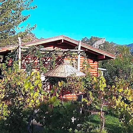 Sakin Vadi Winehouse Orhaniye (Marmaris)