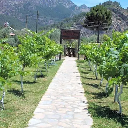 Sakin Vadi Winehouse Orhaniye (Marmaris)