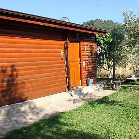 Sakin Vadi Winehouse Oda ve Kahvaltı 4*
