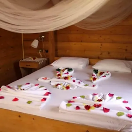Oda ve Kahvaltı Sakin Vadi Winehouse 4*